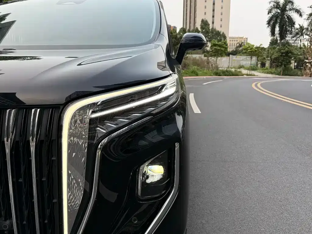 Hongqi HQ9 2023 из CN, фото 2