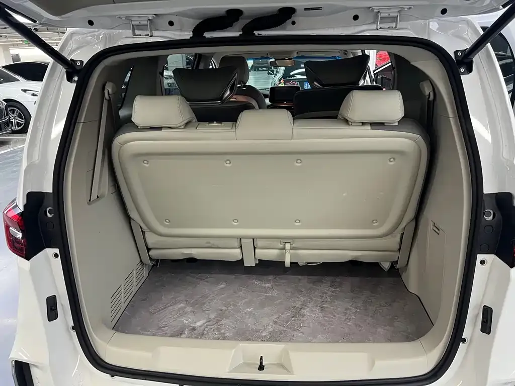Buick GL8 2021 из CN, фото 5