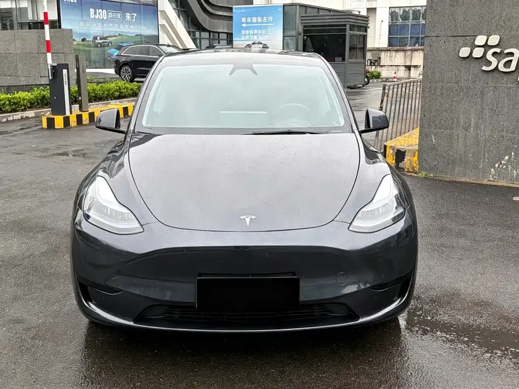 Tesla Model Y — фото 9