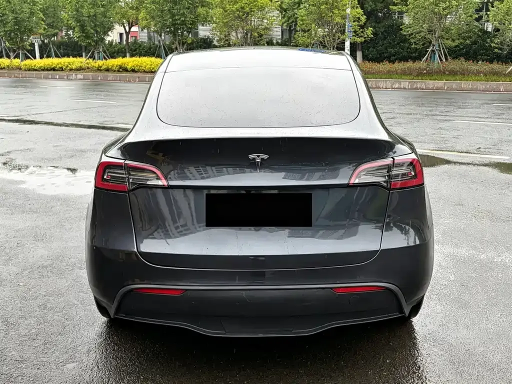 Tesla Model Y — фото 5