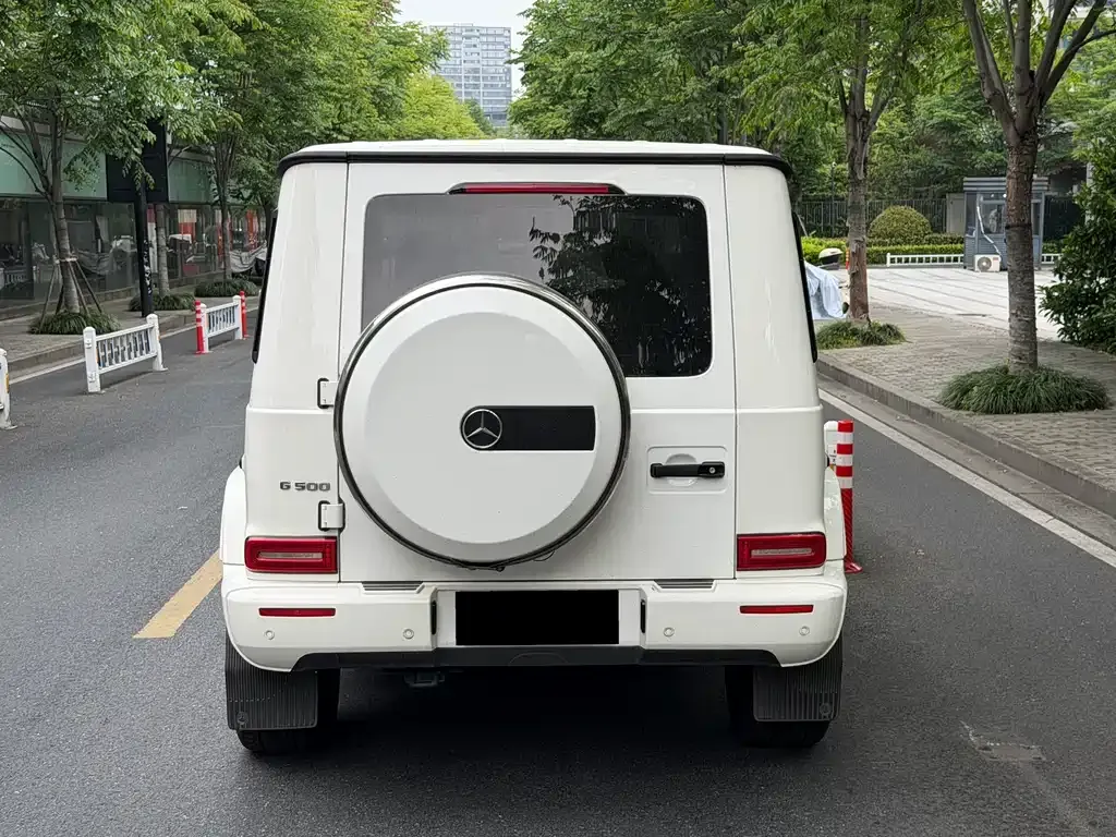 Mercedes-Benz G-Class 2021 из CN, фото 8