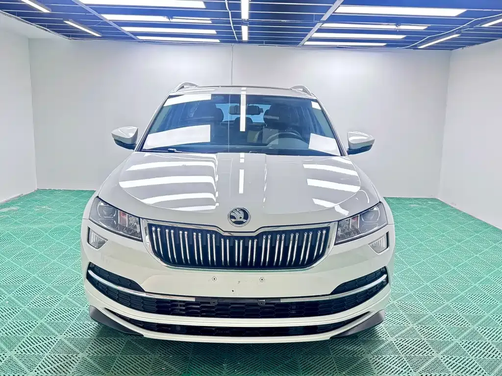 Skoda Karoq — фото 5