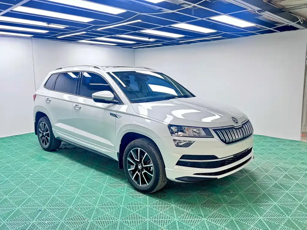 Skoda Karoq — фото 10