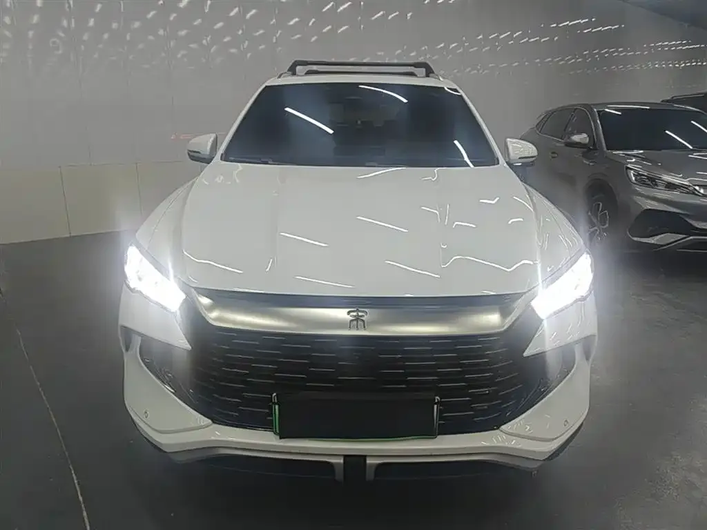 BYD Pro New Energy — фото 3