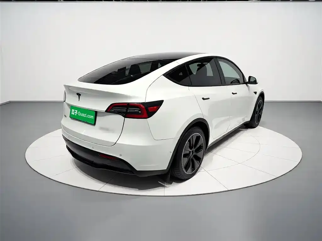 Tesla Model Y — фото 2