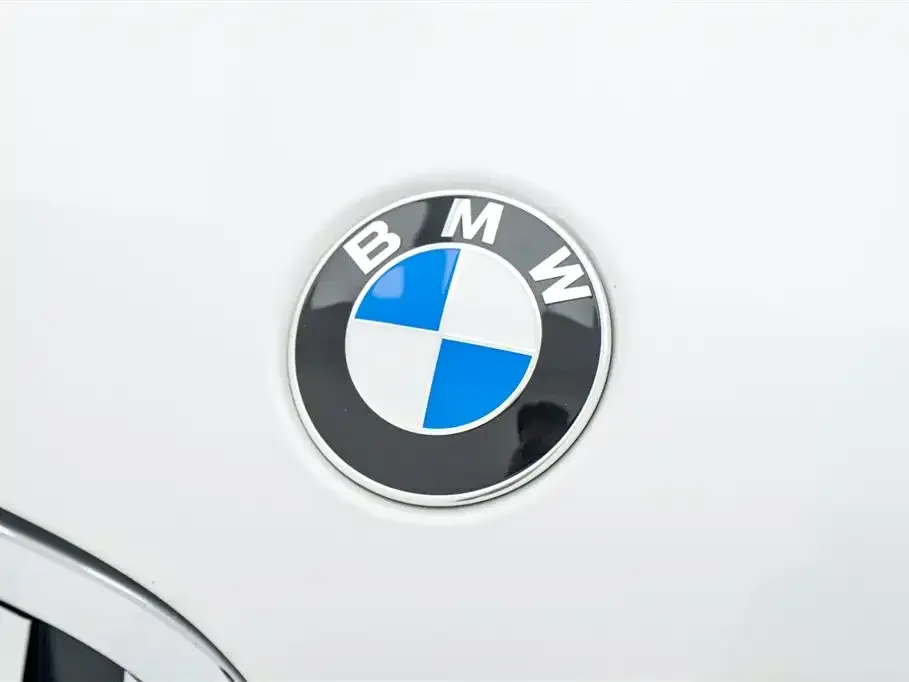 BMW X1 — фото 6