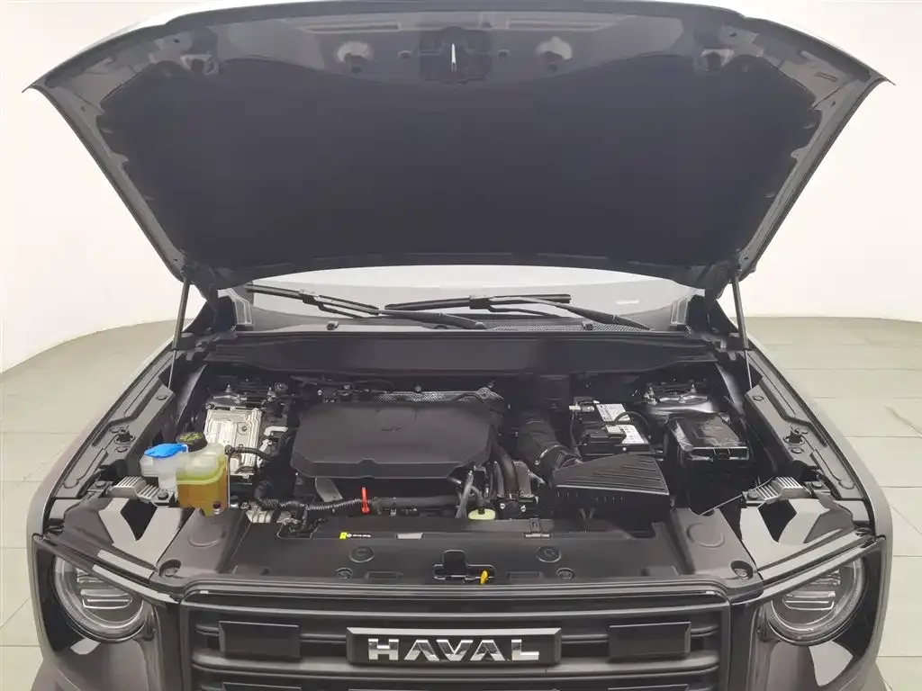 Haval Big Dog — фото 10