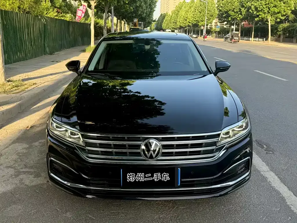 Volkswagen Phideon 2023 из CN, фото 9