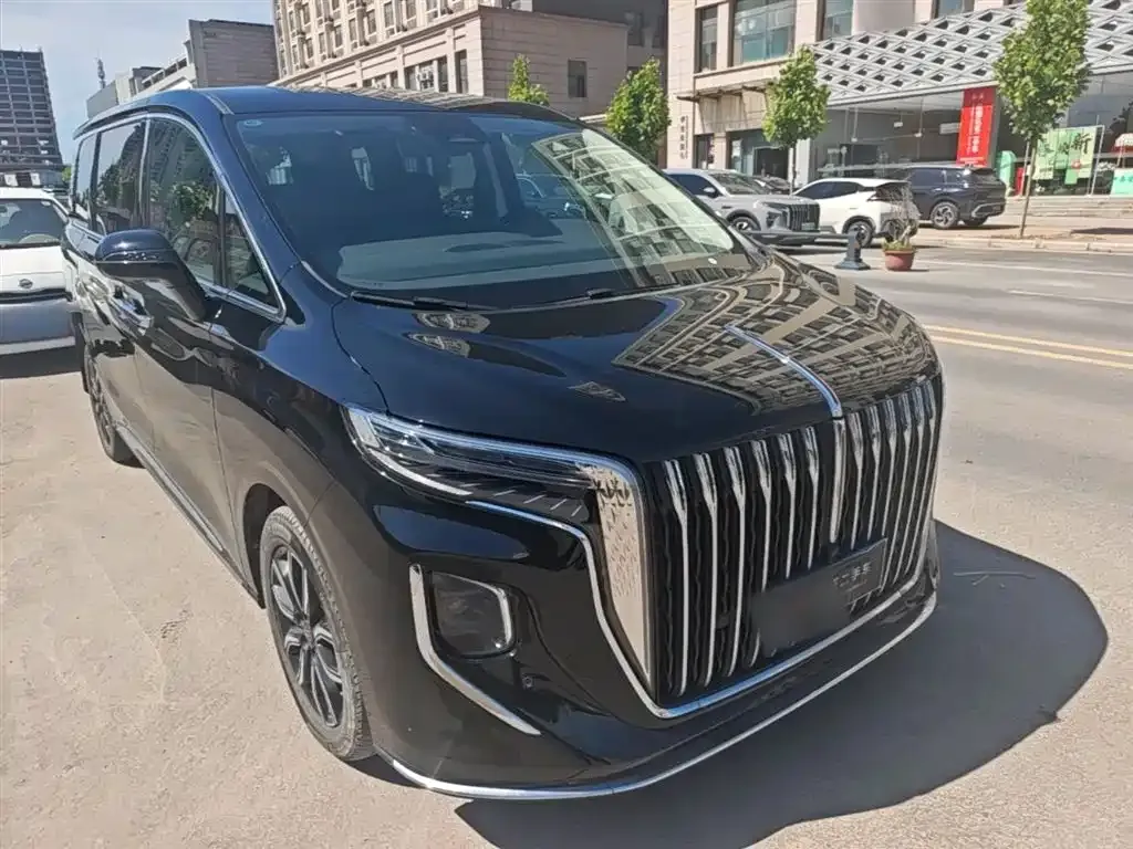 Hongqi HQ9 2023 из CN, фото 10