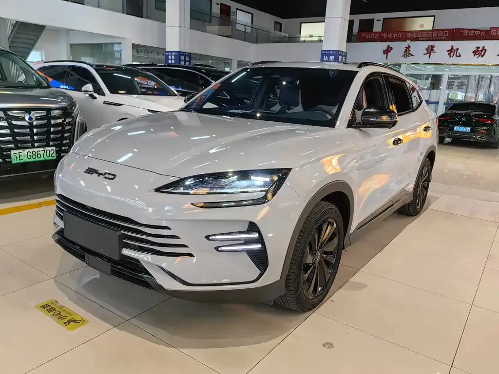 BYD PLUS New Energy — фото 1