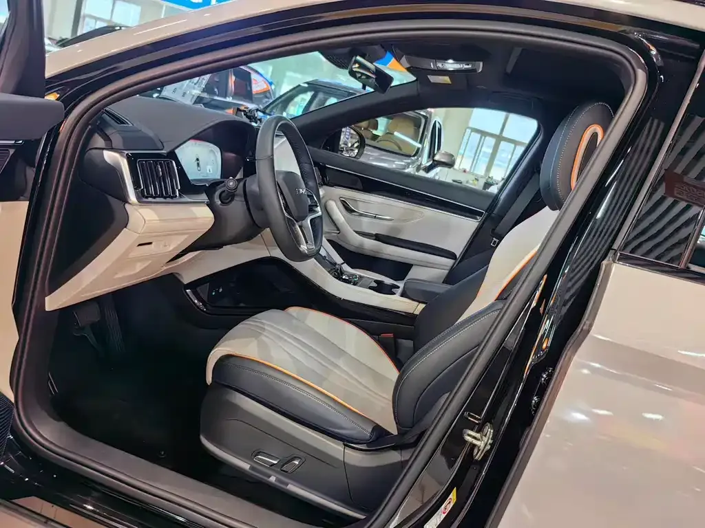 BYD PLUS New Energy — фото 6
