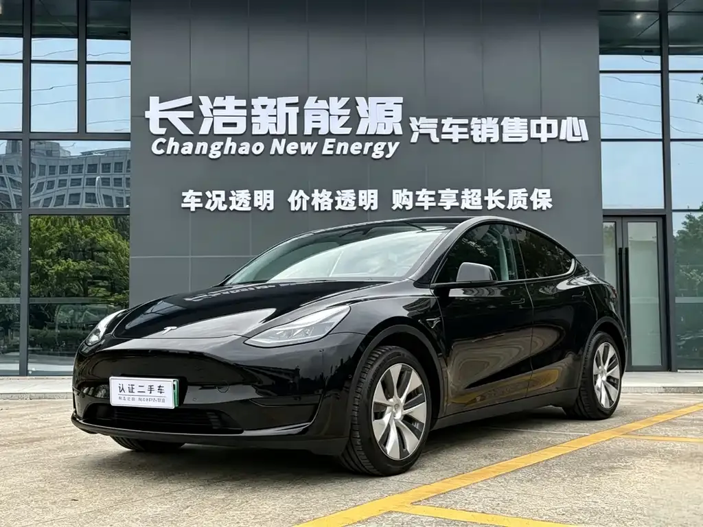 Tesla Model Y — фото 1