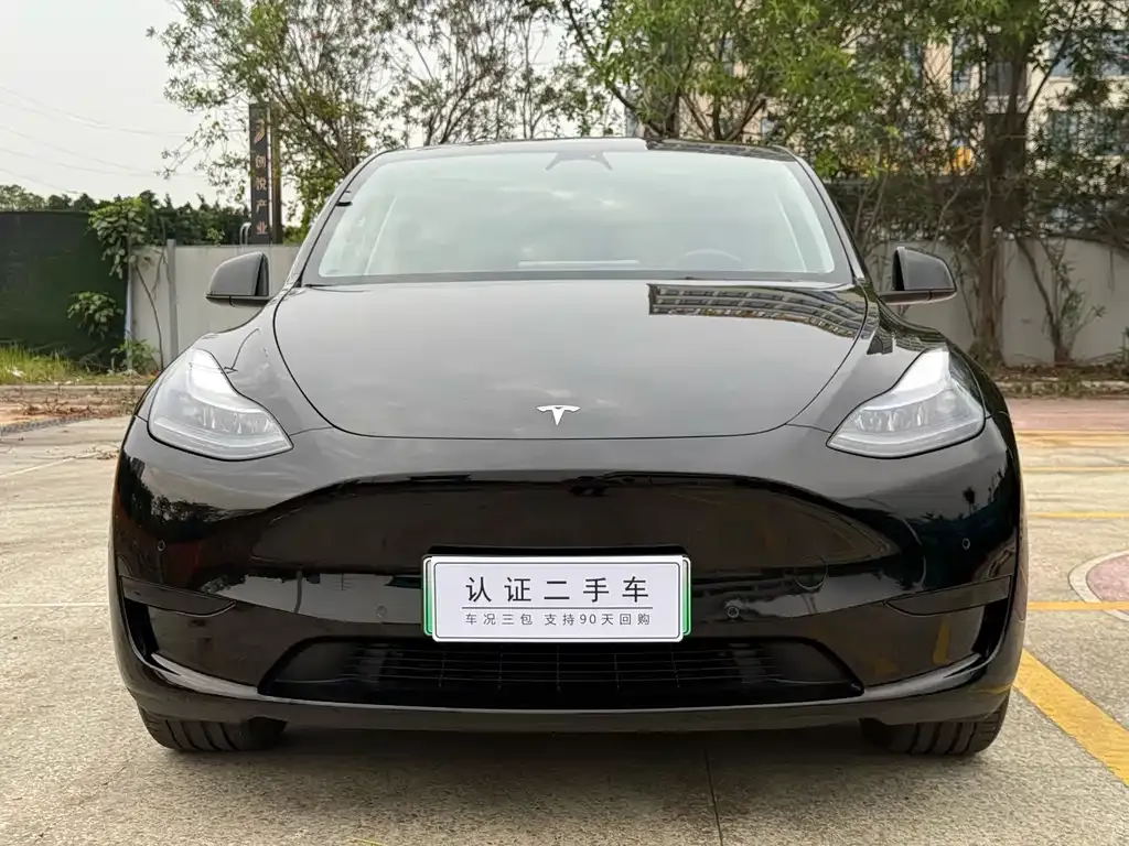 Tesla Model Y — фото 8