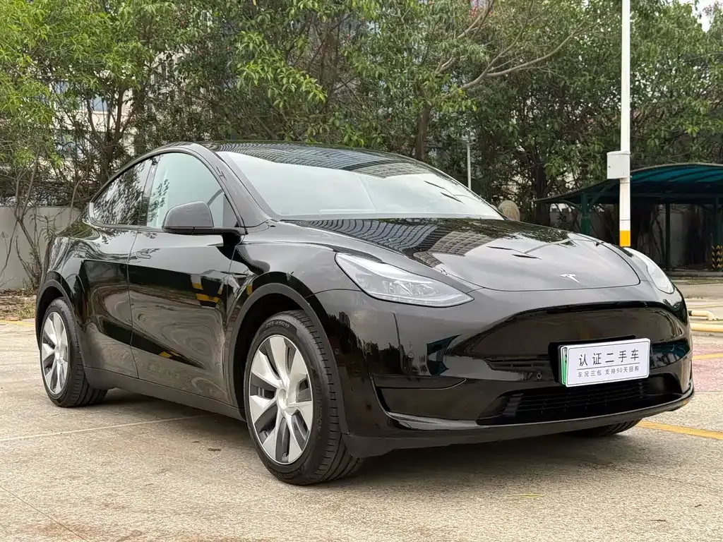 Tesla Model Y — фото 10
