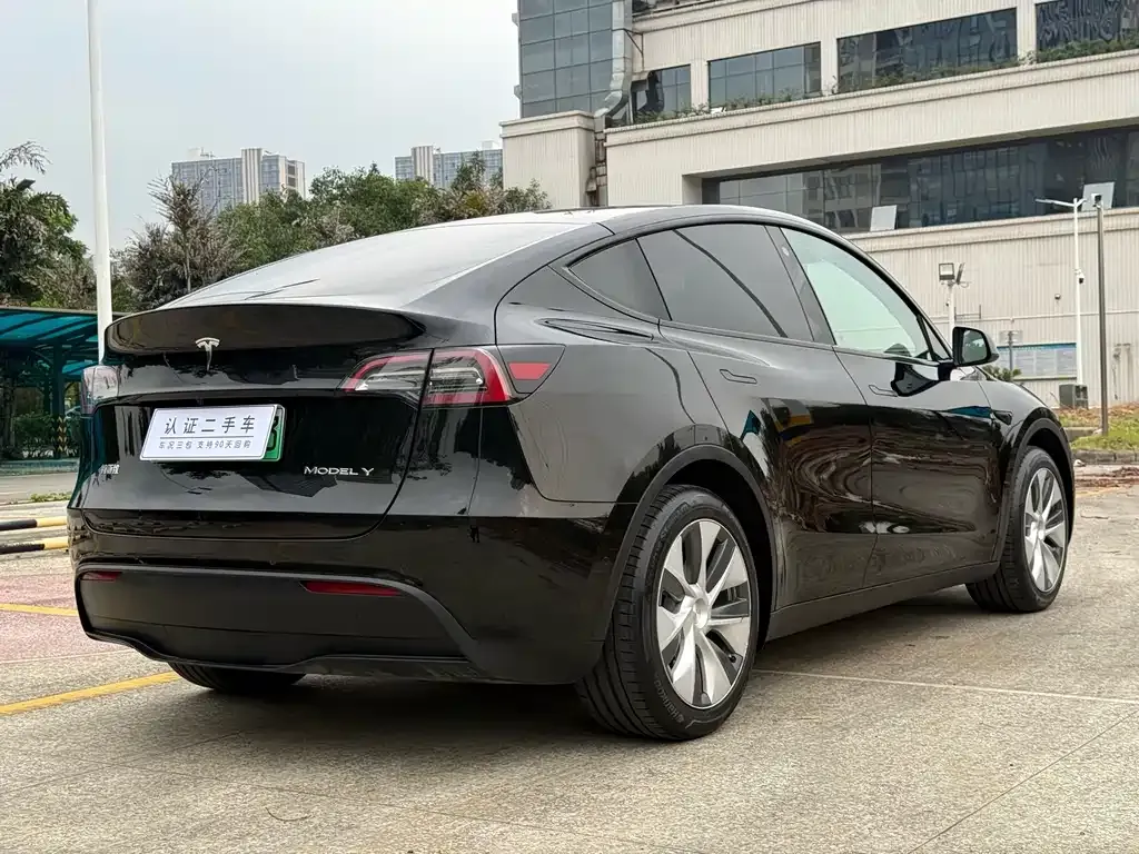 Tesla Model Y — фото 9