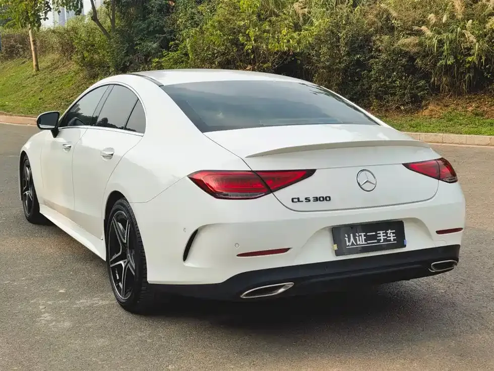 Mercedes-Benz CLS 2021 из CN, фото 9
