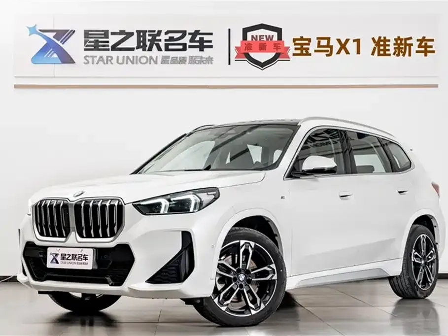 BMW X1 — фото 1