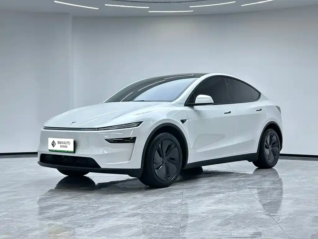 Tesla Model Y — фото 1