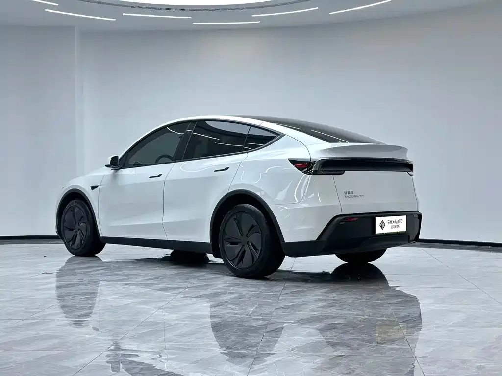 Tesla Model Y — фото 6
