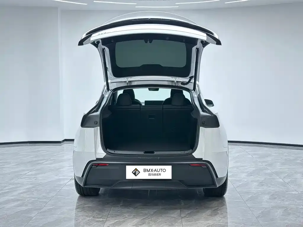 Tesla Model Y — фото 5