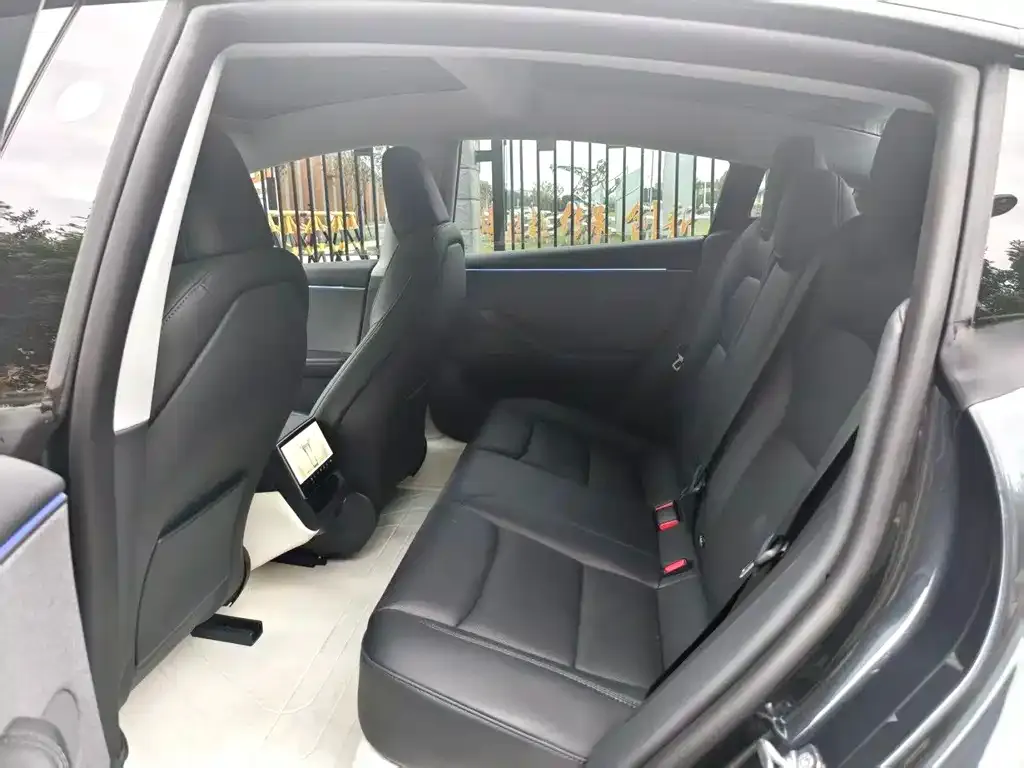 Tesla Model 3 2025 из CN, фото 2
