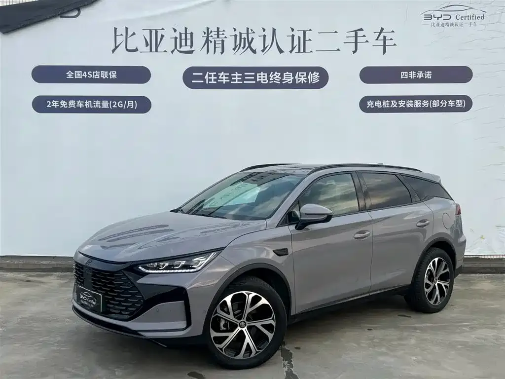 BYD Tang New Energy — фото 1