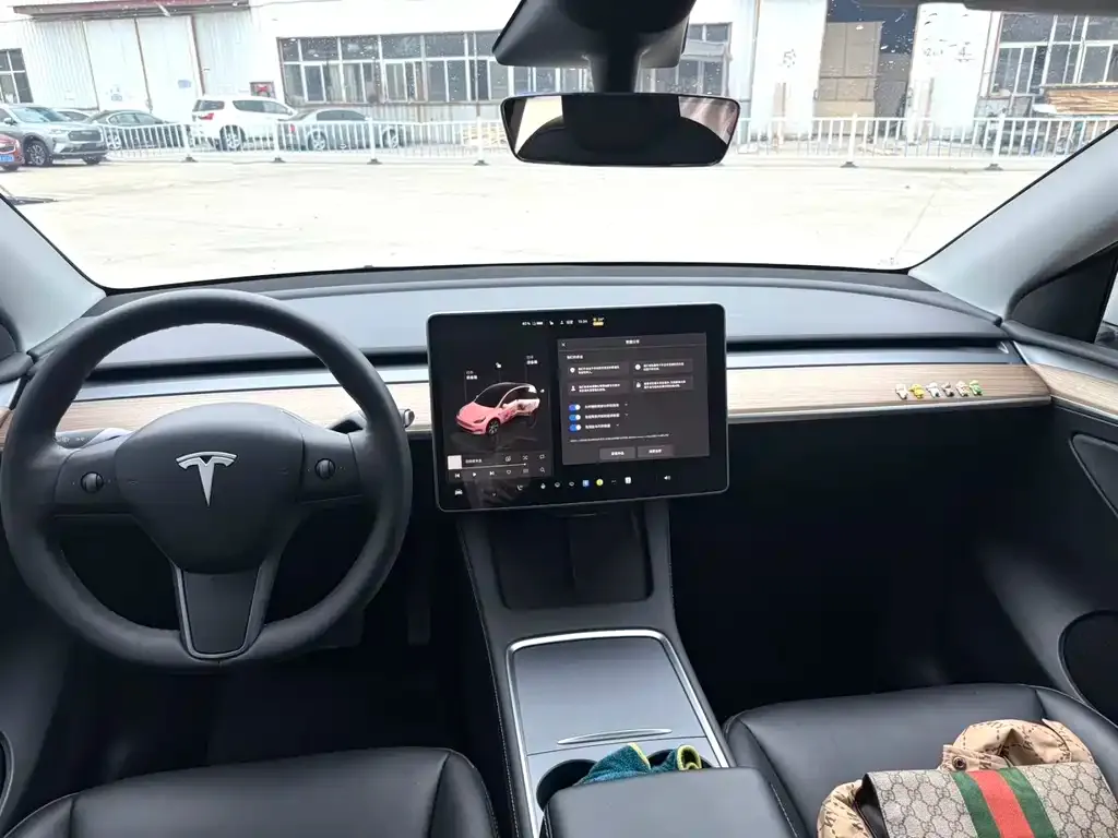 Tesla Model Y — фото 5