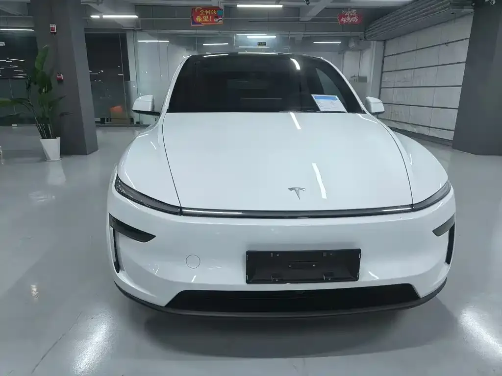 Tesla Model Y — фото 9