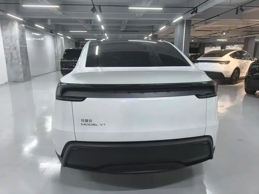 Tesla Model Y — фото 6