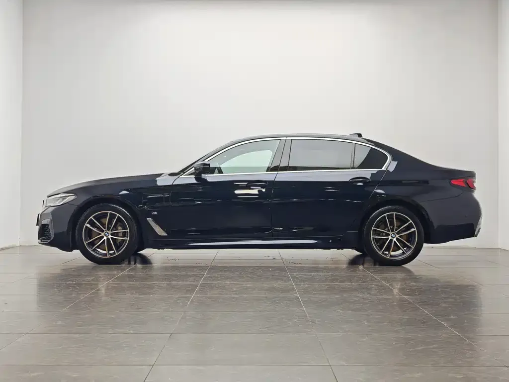 BMW 5 Series New Energy 2021 из CN, фото 5
