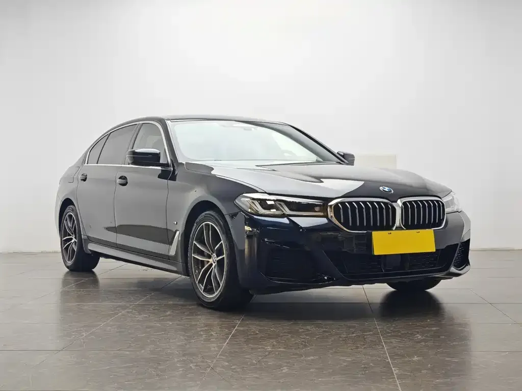 BMW 5 Series New Energy 2021 из CN, фото 3