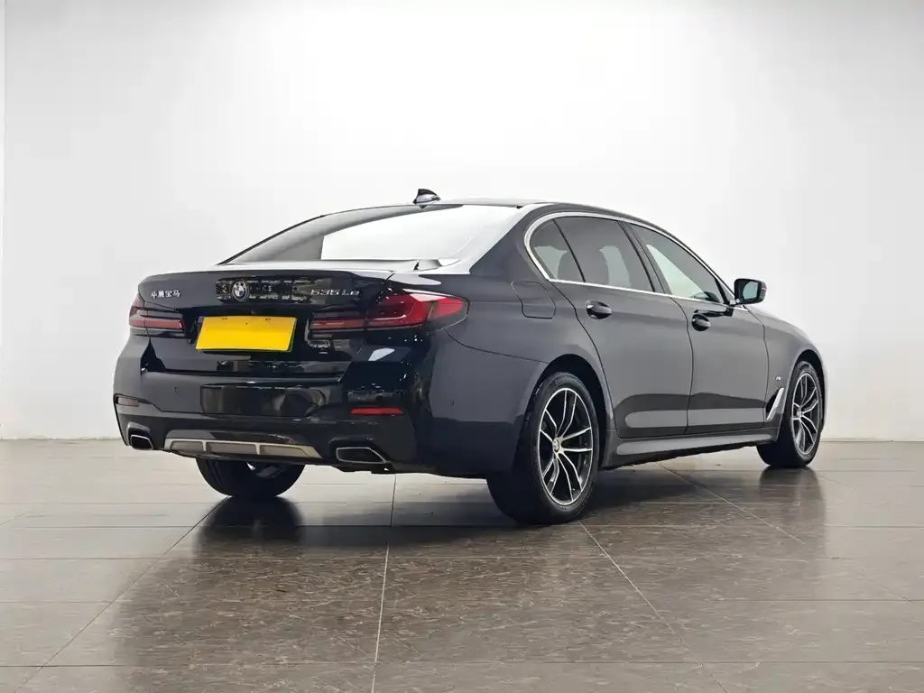 BMW 5 Series New Energy 2021 из CN, фото 4