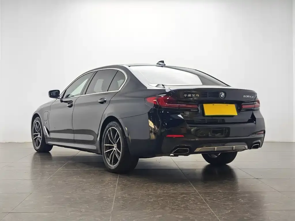 BMW 5 Series New Energy 2021 из CN, фото 8