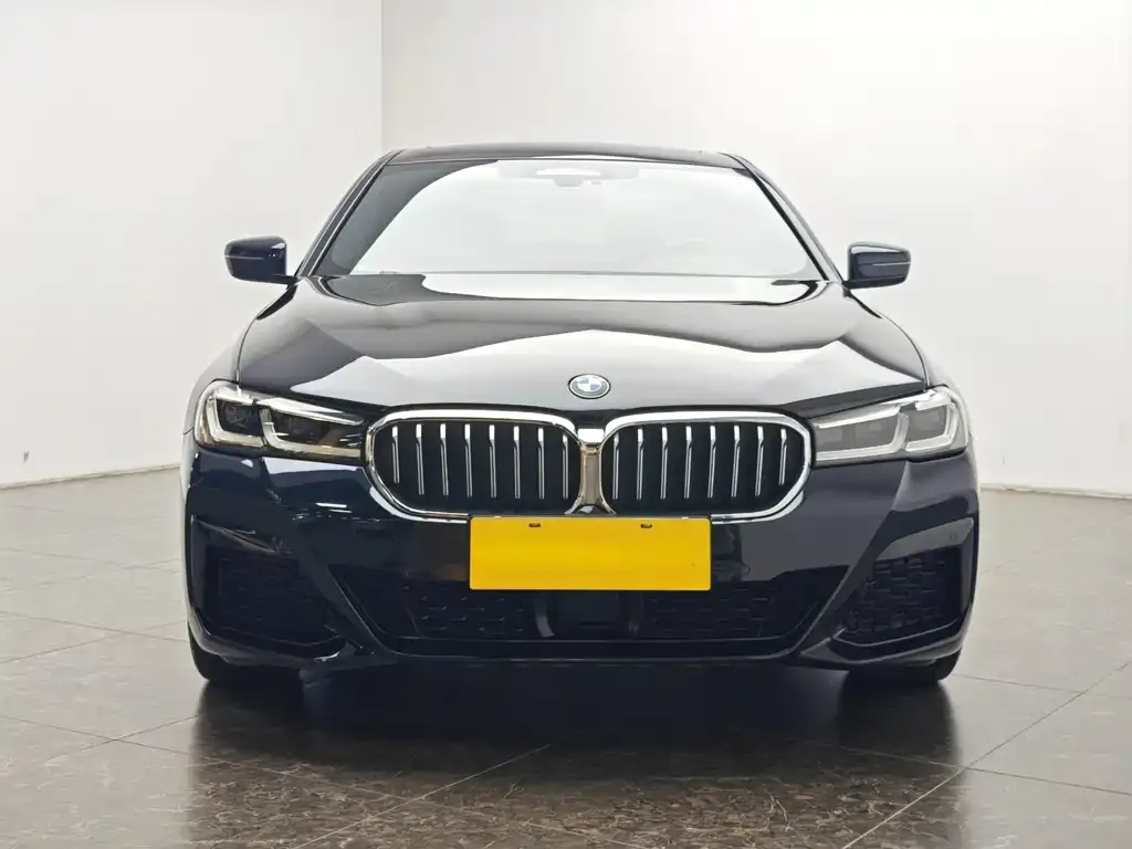 BMW 5 Series New Energy 2021 из CN, фото 2