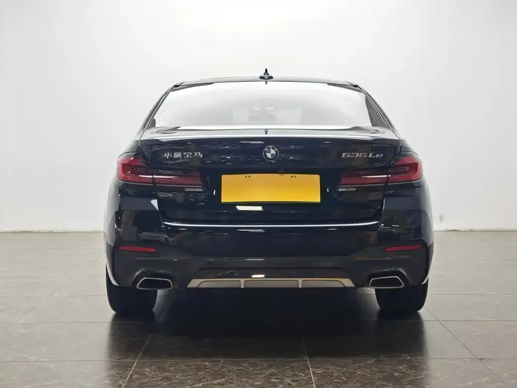 BMW 5 Series New Energy 2021 из CN, фото 6