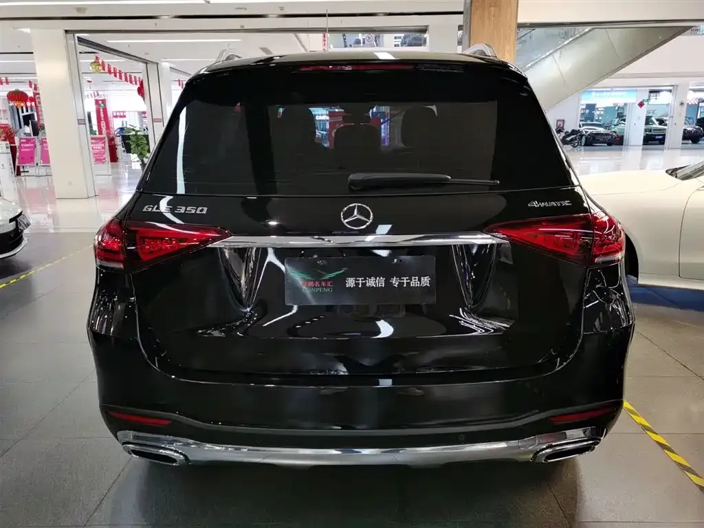 Mercedes-Benz 奔驰GLE(进口) — фото 4