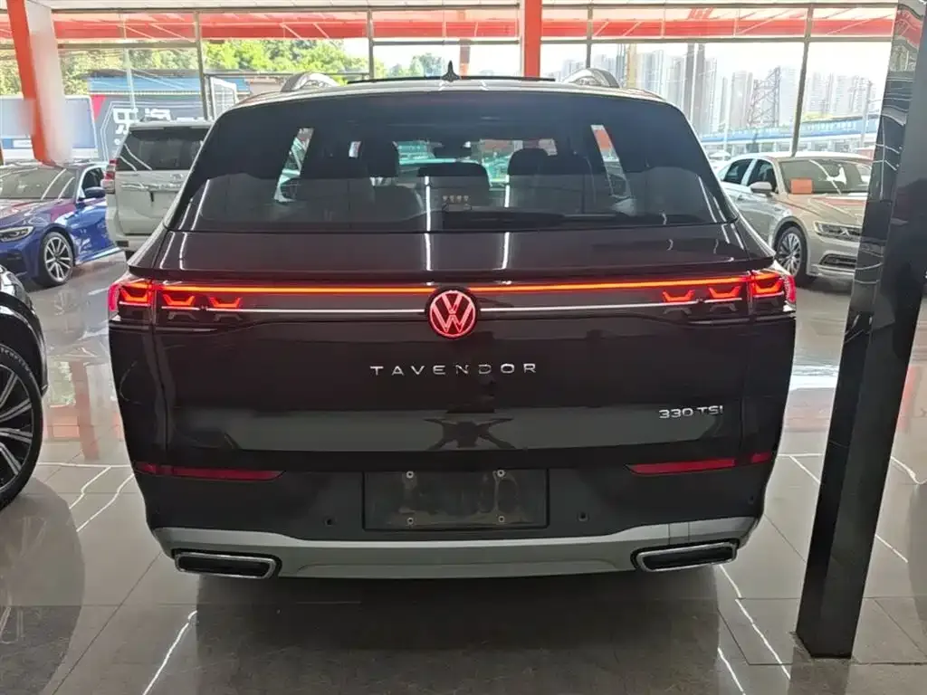 Volkswagen Tavendor 2023 из CN, фото 7