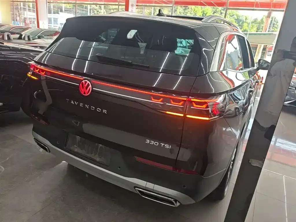 Volkswagen Tavendor 2023 из CN, фото 8