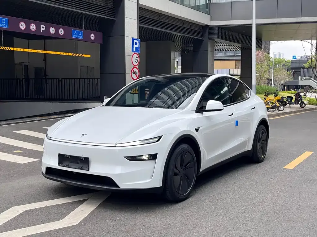 Tesla Model Y — фото 1