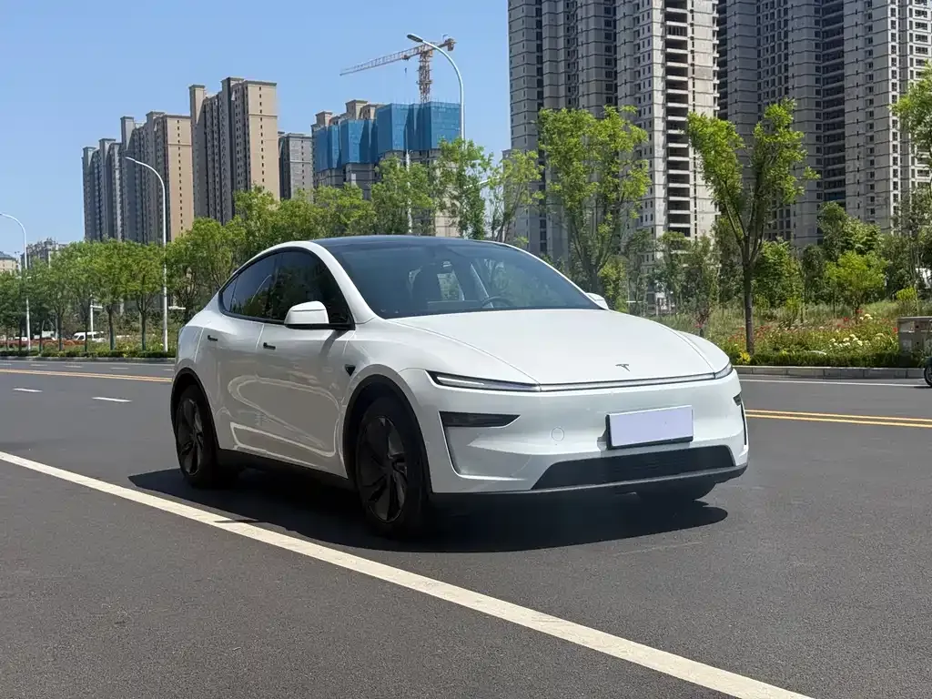Tesla Model Y — фото 2