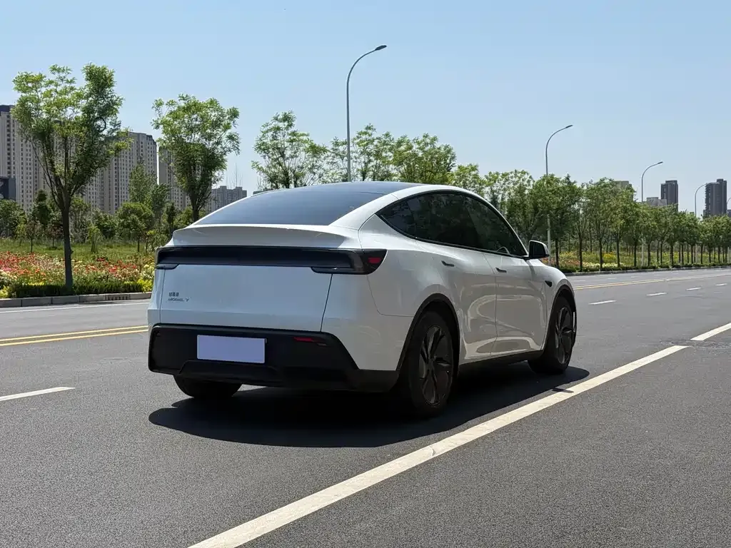 Tesla Model Y — фото 9