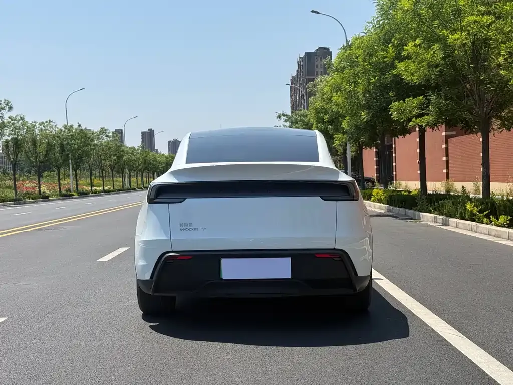 Tesla Model Y — фото 5