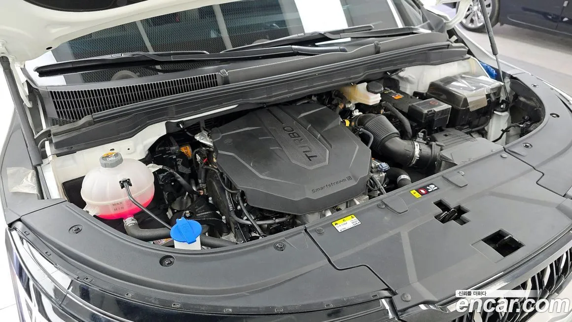 Kia Carnival — фото 10