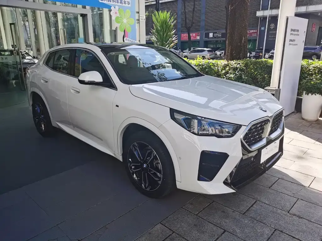 BMW X2 (Import) 2025 из CN, фото 6