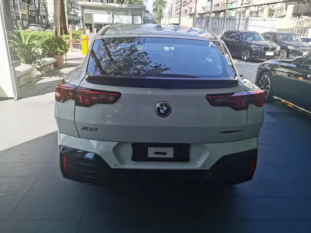 BMW X2 (Import) 2025 из CN, фото 10