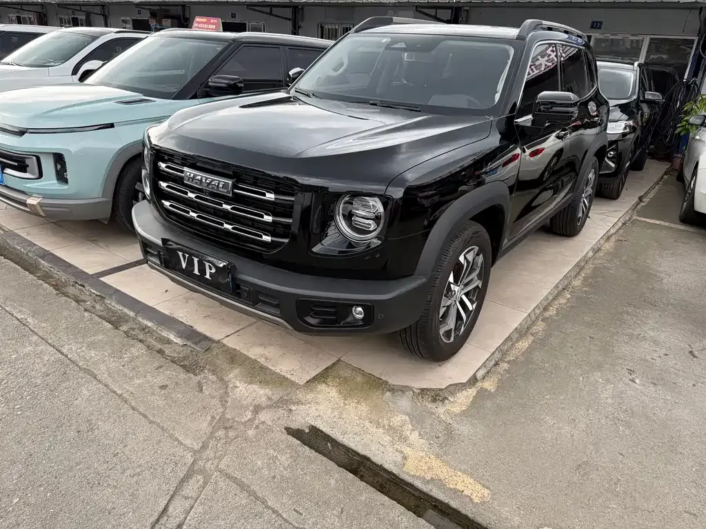 Haval Big Dog 2023 из CN, фото 10