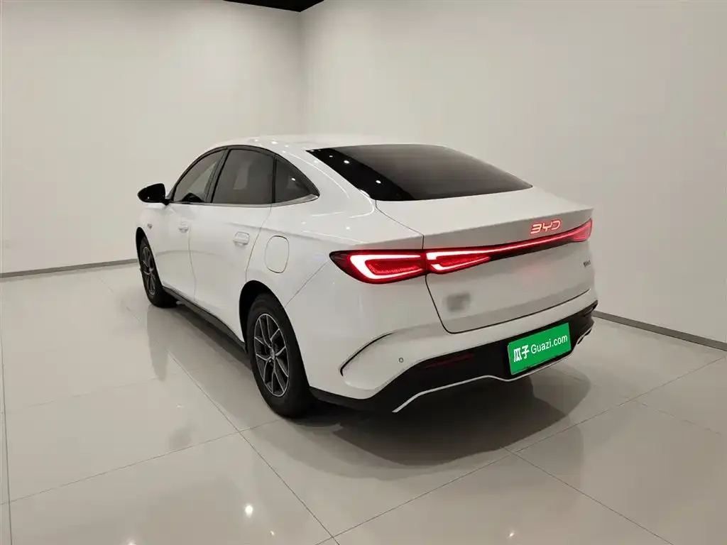 BYD Seal 06 2024 из CN, фото 2