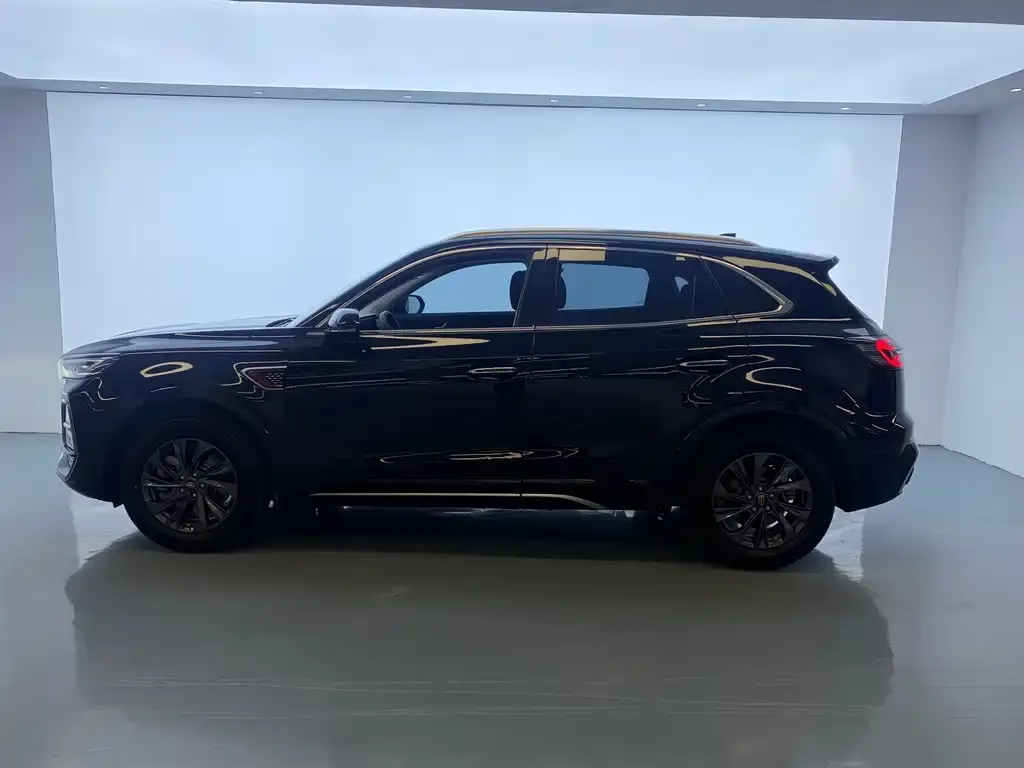 Hongqi HS5 2024 из CN, фото 2