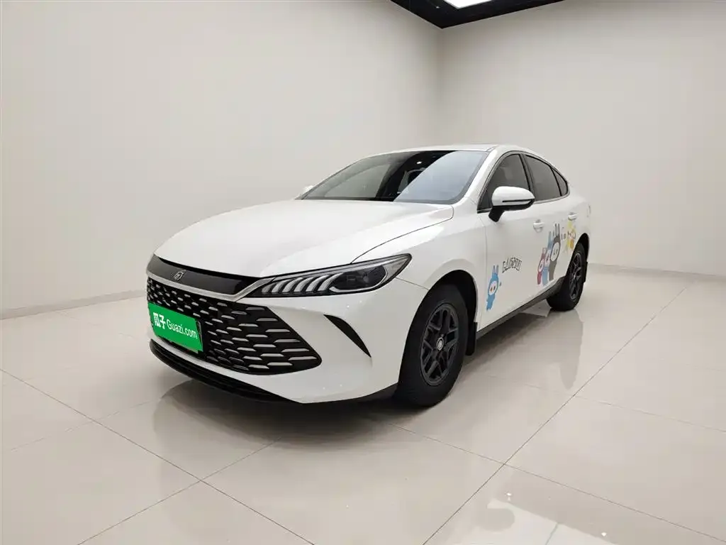 BYD Qin PLUS — фото 3