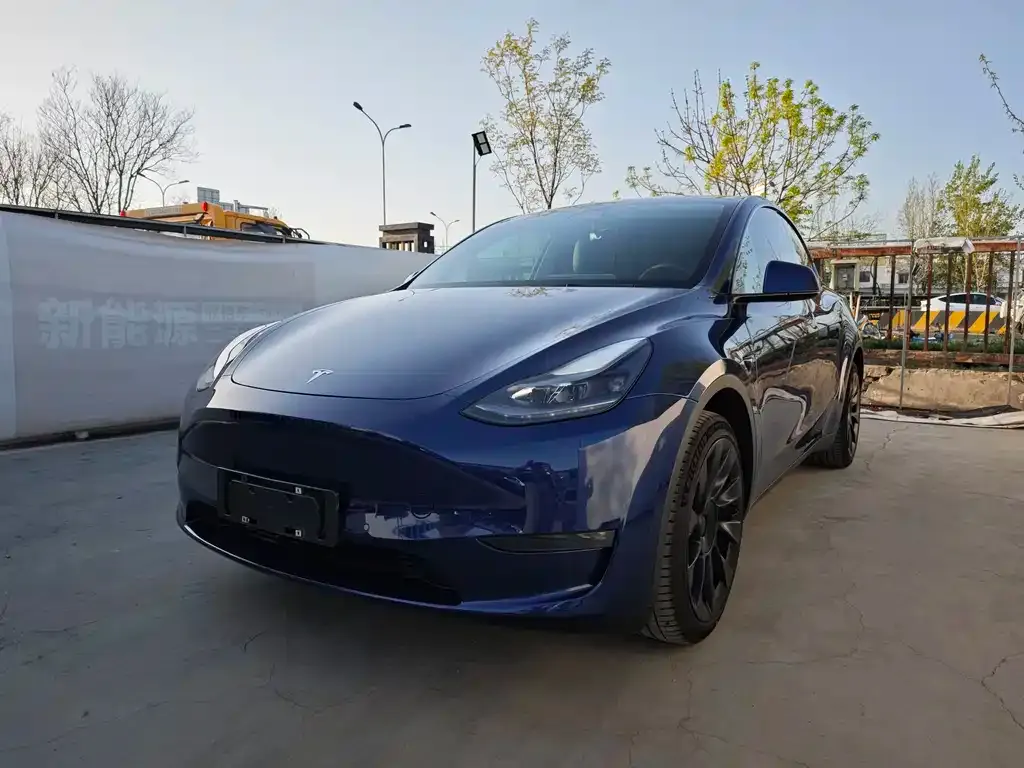 Tesla Model Y — фото 1